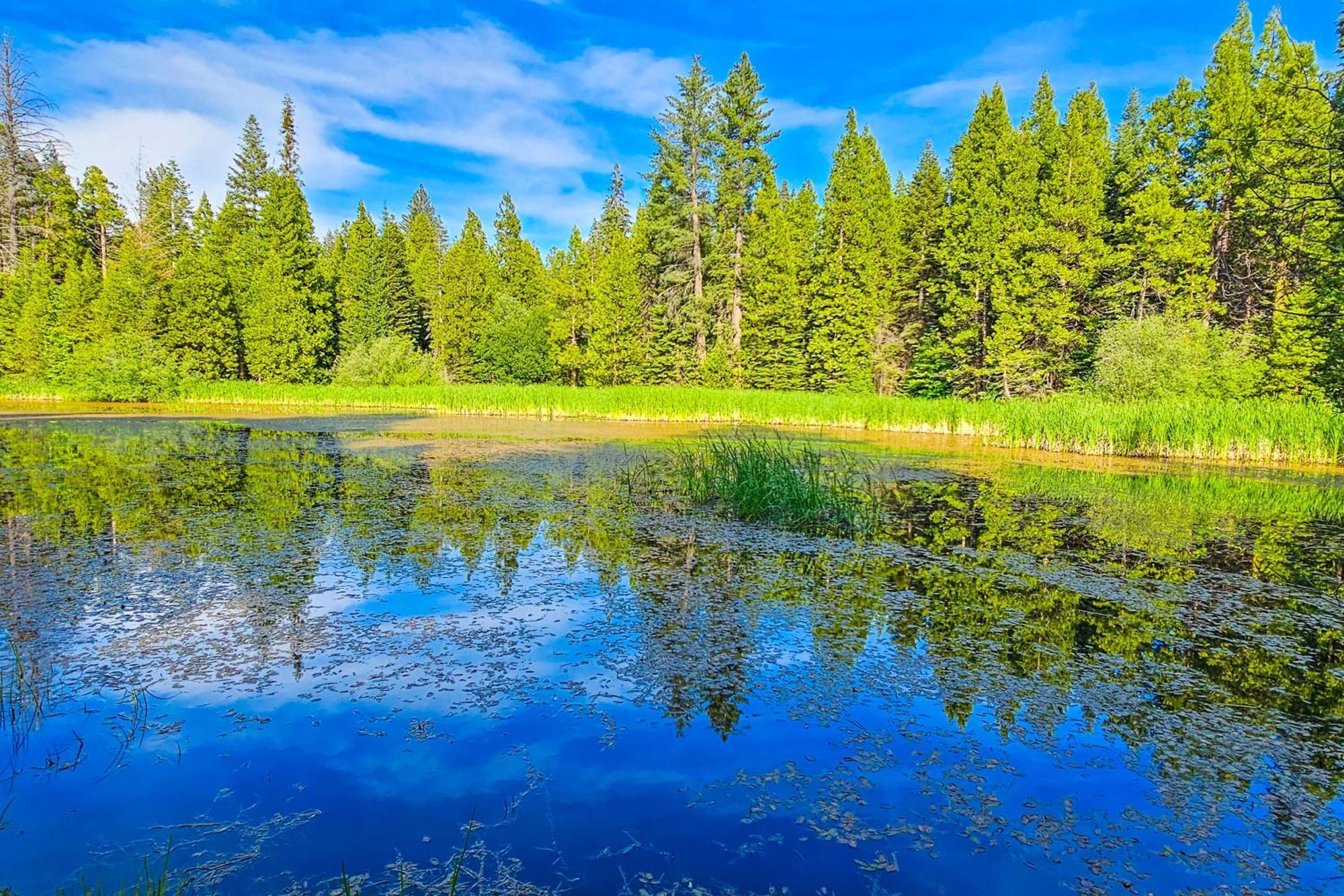 シェイバー・レイク Water'S Edge Retreatヴィラ エクステリア 写真